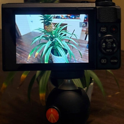Canon G7X Mark Ii With Tripod Wa
